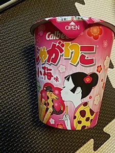 使用している写真